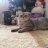Nika_20_95